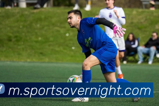 球赛投注平台生态图